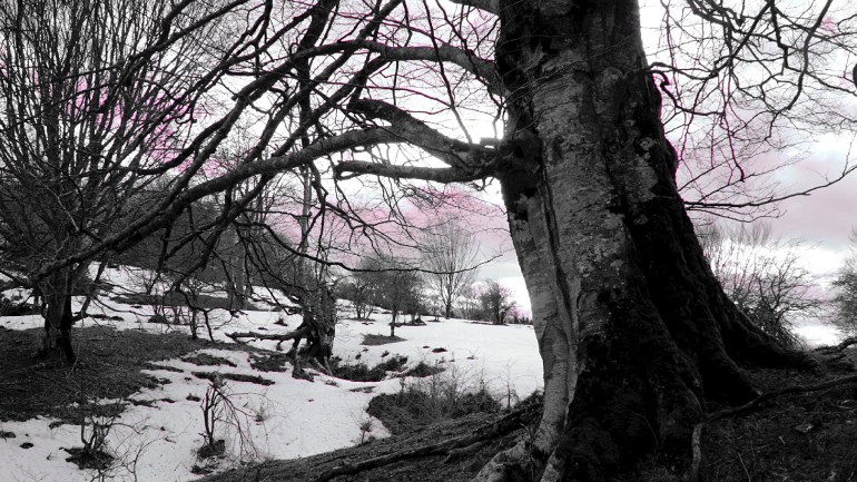 ez nau izutzen negu hurbilak