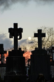 thriller in the Basque Country