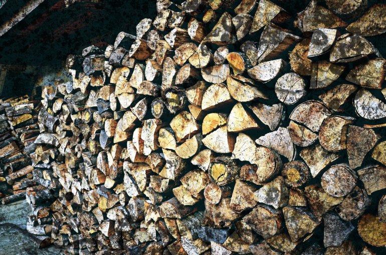  Neguko gorriko sugarri 