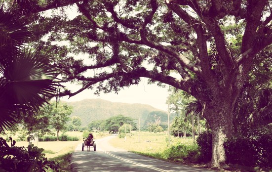 cuba-viñales-
