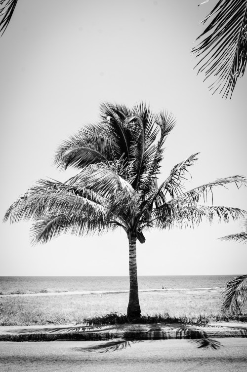 cuba15