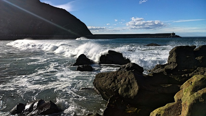 fotor_(107) [3933441]