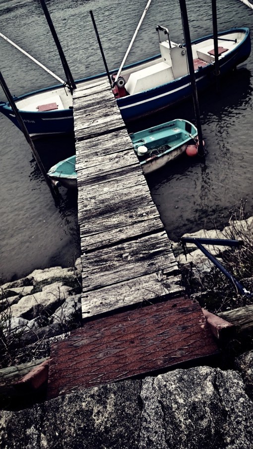 fotor_(993) [3933181]