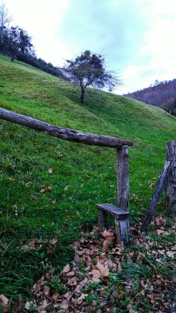 WP_20151217_17_20_27_Pro_edited