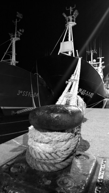 WP_20151219_21_29_31_Pro__highres (2)