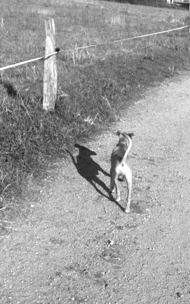 WP_20151223_13_47_36_Pro__highres (3)