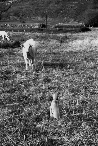 WP_20151223_14_04_21_Pro (2)