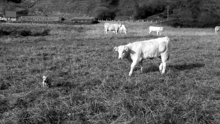 WP_20151223_14_07_09_Pro (2)