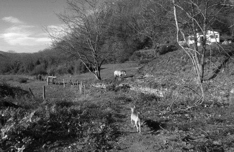 WP_20151224_12_13_29_Pro (2)