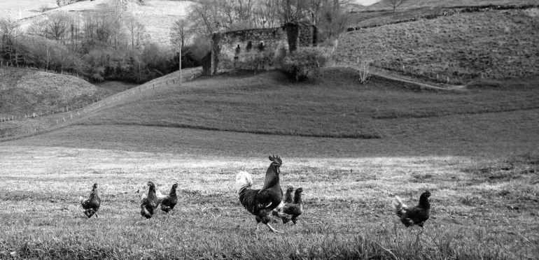 AdobePhotoshopExpress_1a02ab3e096747e28ffa44e2f8181d08 [130093]_edited