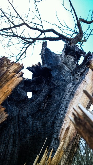 AdobePhotoshopExpress_f744dcbd97614288b61f07a8db574f11