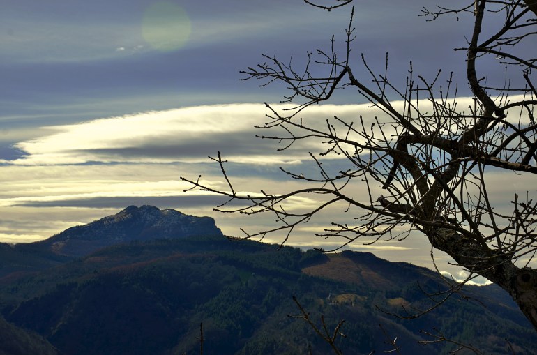 DSC_7274edited_edited