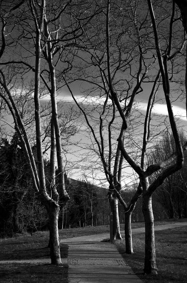 DSC_7284edited_edited