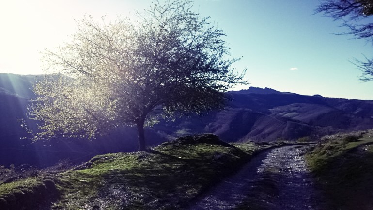 fotor_(323) [1517]_edited