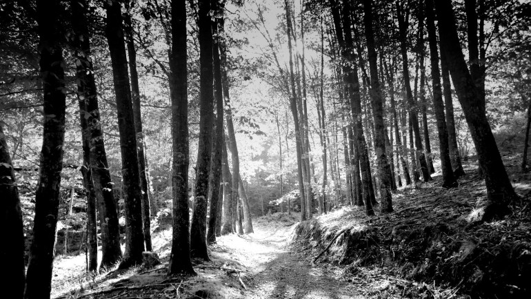 WP_20160511_19_23_03_Pro (4)