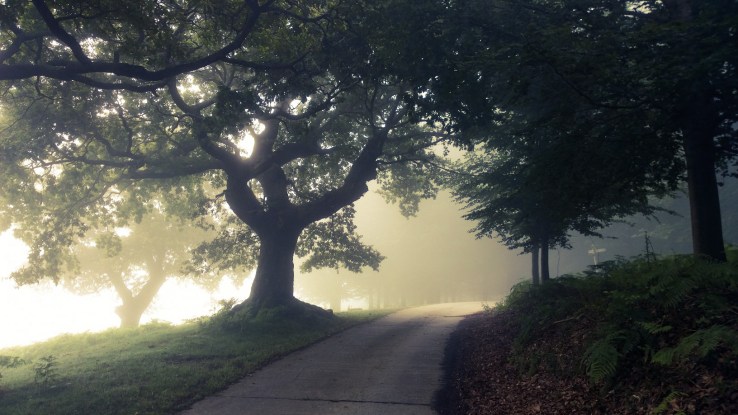 AdobePhotoshopExpress_dca57483fe3f405d9177343c36d265bf_edited