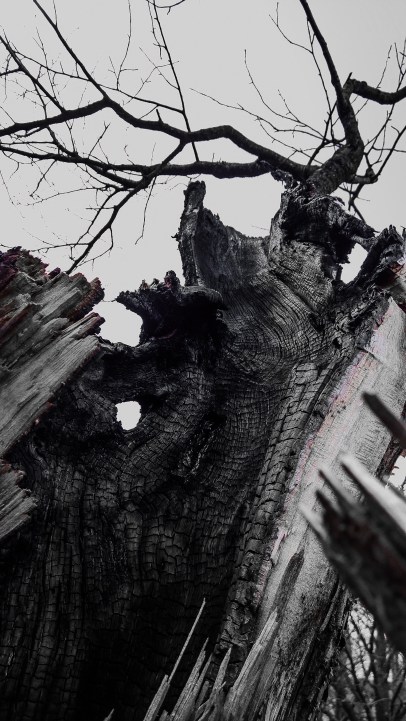 adobephotoshopexpress_8baabf0cd44d408ba9641a7eec749f96