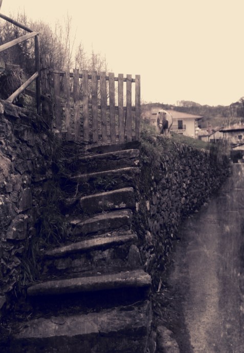 wp_20160217_18_19_19_pro-2