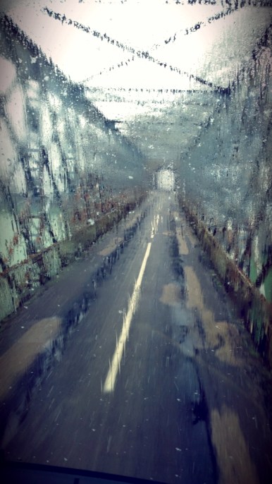 wp_20160314_10_09_36_pro-4