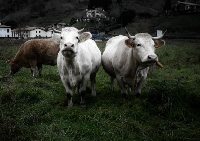 wp_20161222_17_09_16_raw14287_edited