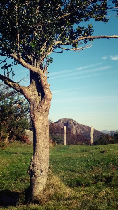 aritxulegitik-kopakarri