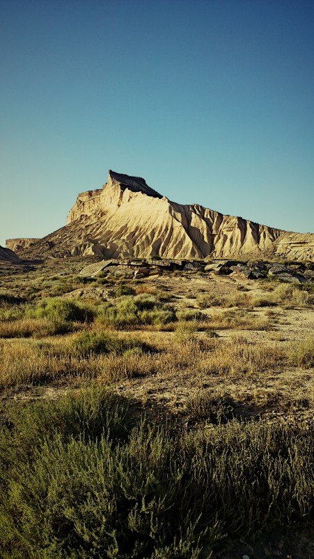 fotor_(2193)