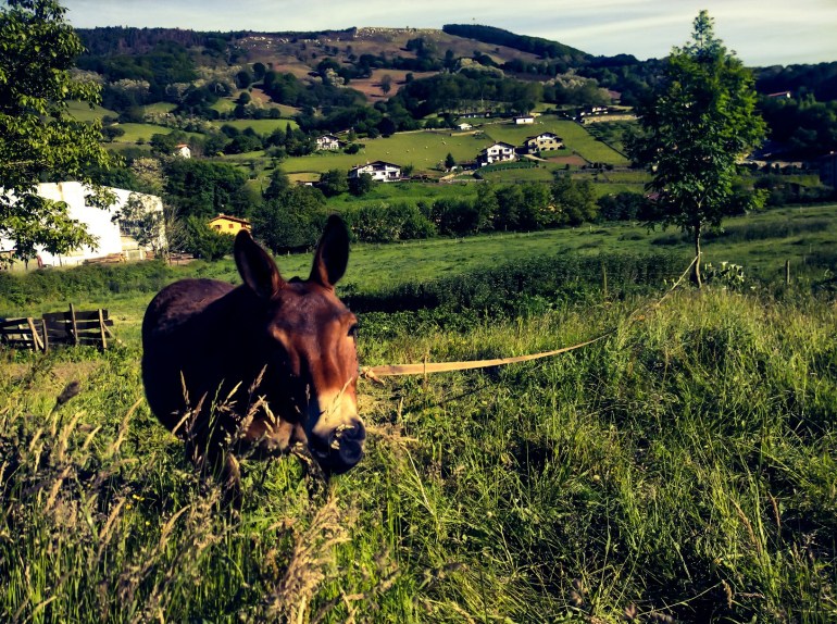 AdobePhotoshopExpress_29bf174d57344efa9ab28854ab2ac912