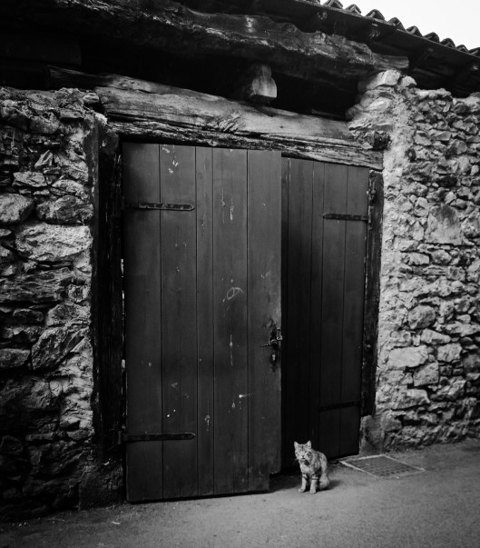 AdobePhotoshopExpress_785446c773dd45e49fca246b23a1d5d3