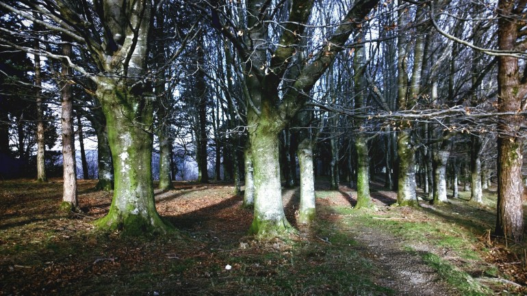 WP_20160205_17_14_13_Pro