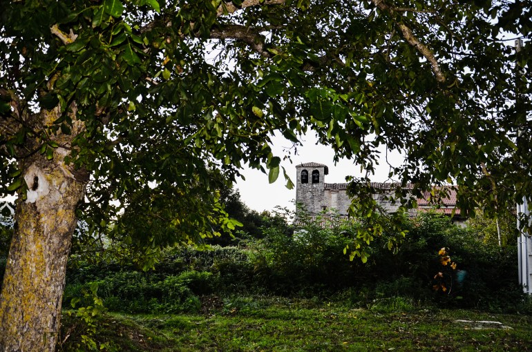 DSC_4954_edited