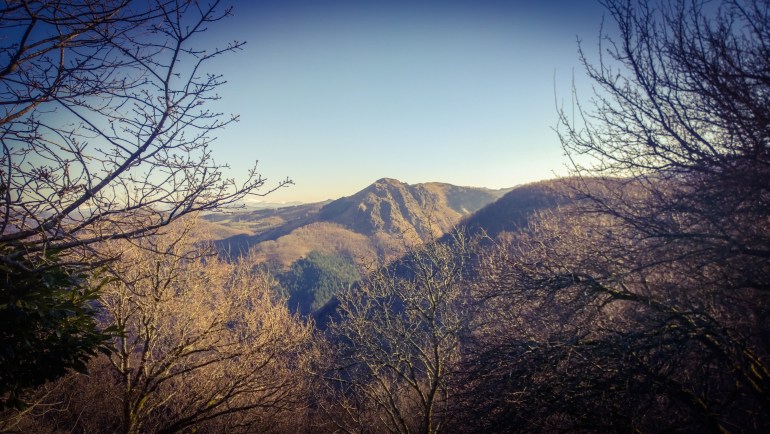 WP_20150219_16_56_34_Pro__highres_edited